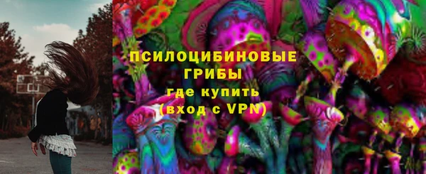 ГАЛЛЮЦИНОГЕННЫЕ ГРИБЫ Алзамай