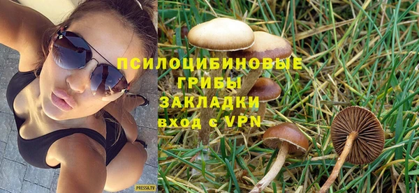 ГАЛЛЮЦИНОГЕННЫЕ ГРИБЫ Алзамай