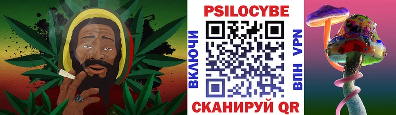 как найти   Малоархангельск  Галлюциногенные грибы Magic Shrooms 